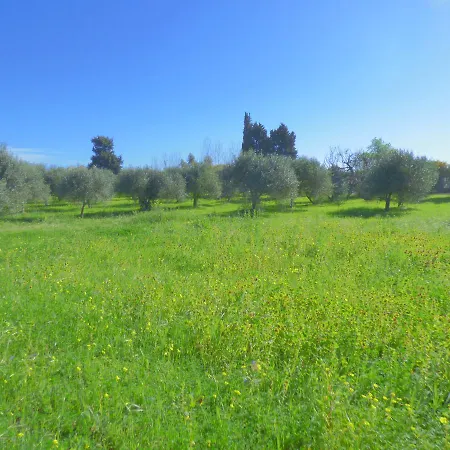 Casa Vacanze Bianco Holiday home